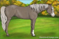 Horse Color:Silver Smoky Black Sabino Splash Frame