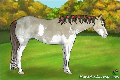 Horse Color:Liver Red Dun Ice Splash