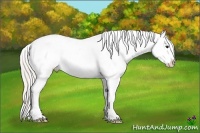 Horse Color:Silver Grullo Sabino Tobiano Frame Blanket
