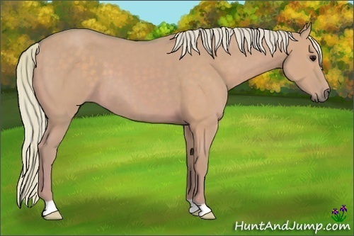 Horse Color:Watercolor Silver Grullo 