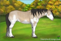 Horse Color:White Spotted Bay Roan Dun Splash