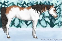 Horse Color:Bay Splash Frame