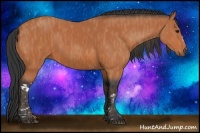 Horse Color:Bay  Brindle