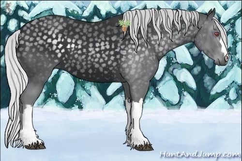 Horse Color:Silver Black Chinchilla 