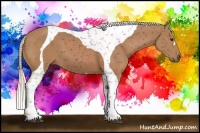 Horse Color:Chestnut Tobiano