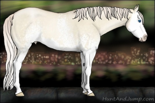 Horse Color:White Spotted Chocolate Palomino Roan Pearl Dun Splash 