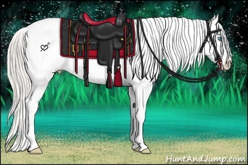 Horse Color:Chocolate Palomino Roan Pearl Sabino Blanket