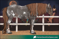 Horse Color:White Spotted Liver Chestnut Ice 