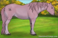 Horse Color:Watercolor Chestnut 