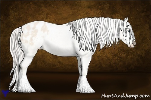 Horse Color:Cremello Sabino Blanket