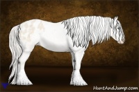 Horse Color:Cremello Sabino Blanket