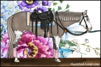 Horse Color:Silver Grullo Sabino Splash Frame