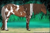 Horse Color:White Spotted Liver Chestnut 