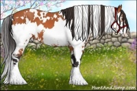 Horse Color:White Spotted Bay Splash Frame