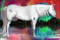 Horse Color:Liver Chestnut Appaloosa 