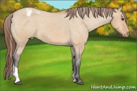 Horse Color:Bay Dun Tobiano Varnish 