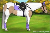 Horse Color:Amber Champagne Roan Tobiano 