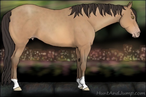 Horse Color:Amber Champagne 