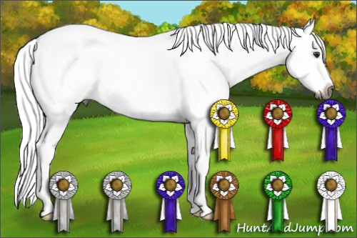Horse Color:Gray White Spotted Red Dun Splash 