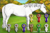 Horse Color:Gray White Spotted Red Dun Splash 