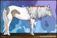 Horse Color:Silver Black Sabino Splash Tobiano