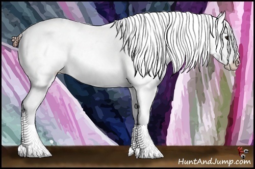 Horse Color:Bay Splash Snowflake Varnish