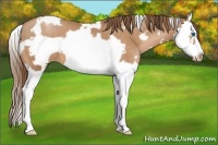 Horse Color:White Spotted Bay Pearl Splash Frame