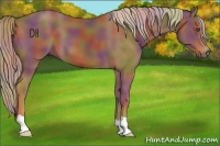 Horse Color:Nacre Chestnut 