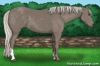 Horse Color:Silver Smoky Black Tobiano Rabicano