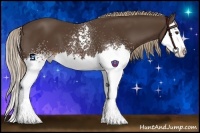 Horse Color:White Spotted Liver Chestnut Splash 