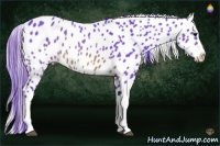 Horse Color:Watercolor Brown Appaloosa 