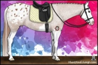 Horse Color:Chestnut Sabino Splash Appaloosa Rabicano 