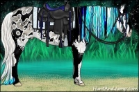 Horse Color:Gold Cream Champagne Ice Pearl Dun Appaloosa Rabicano 