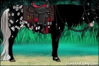 Horse Color:Black Sabino Blanket Rabicano