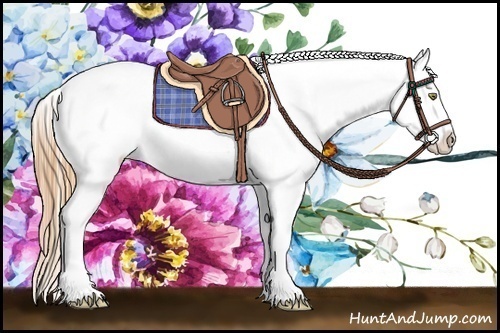 Horse Color:Gold Champagne Appaloosa 