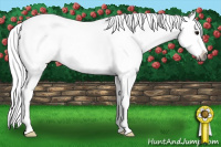 Horse Color:Gray Smoky Black Sabino 