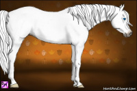 Horse Color:Gray Grullo Splash Leopard 