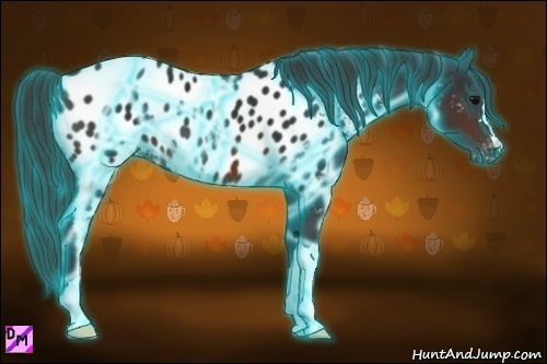 Horse Color:Thunderstruck Brown Appaloosa 