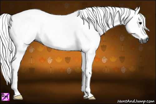 Horse Color:Gray Grullo Roan 