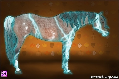 Horse Color:Thunderstruck White Spotted Bay Roan