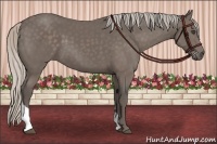 Horse Color:Silver Black Tobiano