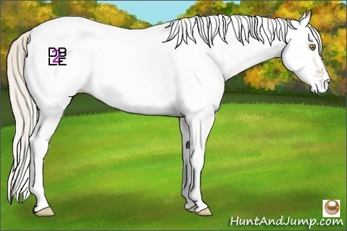 Horse Color:White Spotted Silver Bay Ice Pearl 