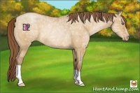 Horse Color:Bay Ice Pearl Dun Rabicano