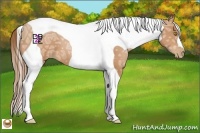 Horse Color:Bay Ice Pearl Tobiano