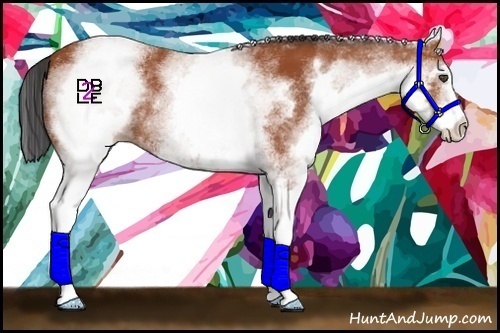 Horse Color:White Spotted Bay 