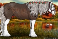 Horse Color:Silver Bay Splash