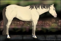 Horse Color:Amber Cream Champagne Dun 