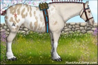 Horse Color:Classic Champagne Dun Blanket Rabicano 