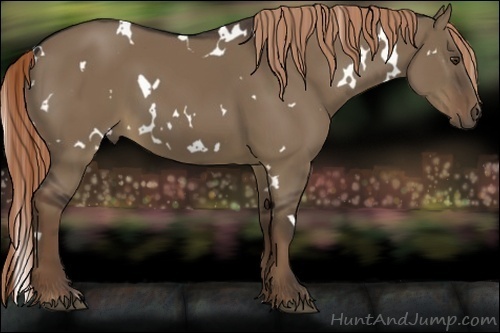 Horse Color:White Spotted Liver Red Dun 