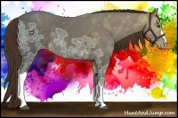 Horse Color:Liver Chestnut Ice Rabicano 